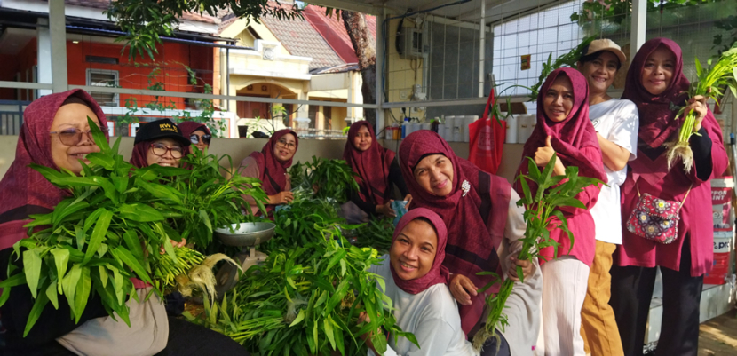 Ibu-ibu anggota Kelompok Tani Pagertani sedang panen sayuran hidroponik, ini menjadi sarana silaturahmi sekaligus bisa menghasilkan sayuran segar untuk ketahanan pangan masyarakat