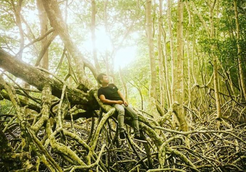 Mangrove di Taman Nasional Baluran/ Foto: @iwan_prazt via @btn_baluran