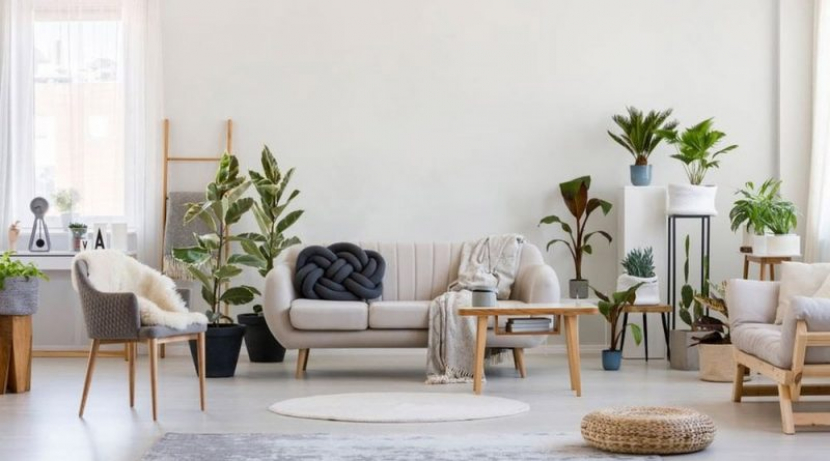 7 Produk Furniture Yang Cocok Sebagai Hiasan Ruang Tamu Anda Agar Semakin Cantik