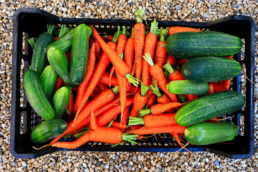 Cara memasak acar kuning timun wortel (foto: pixabay).