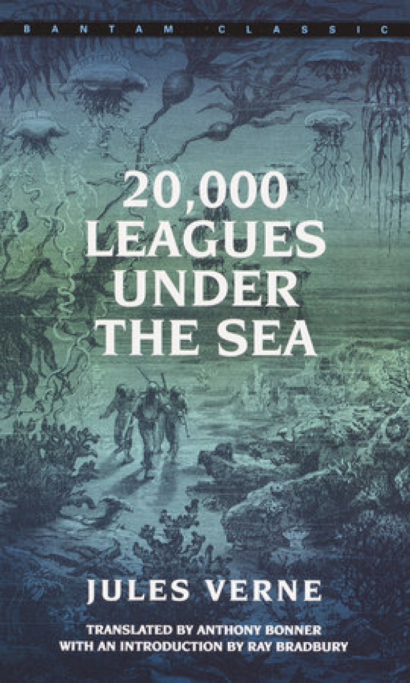 Тысячу лье под водой читать