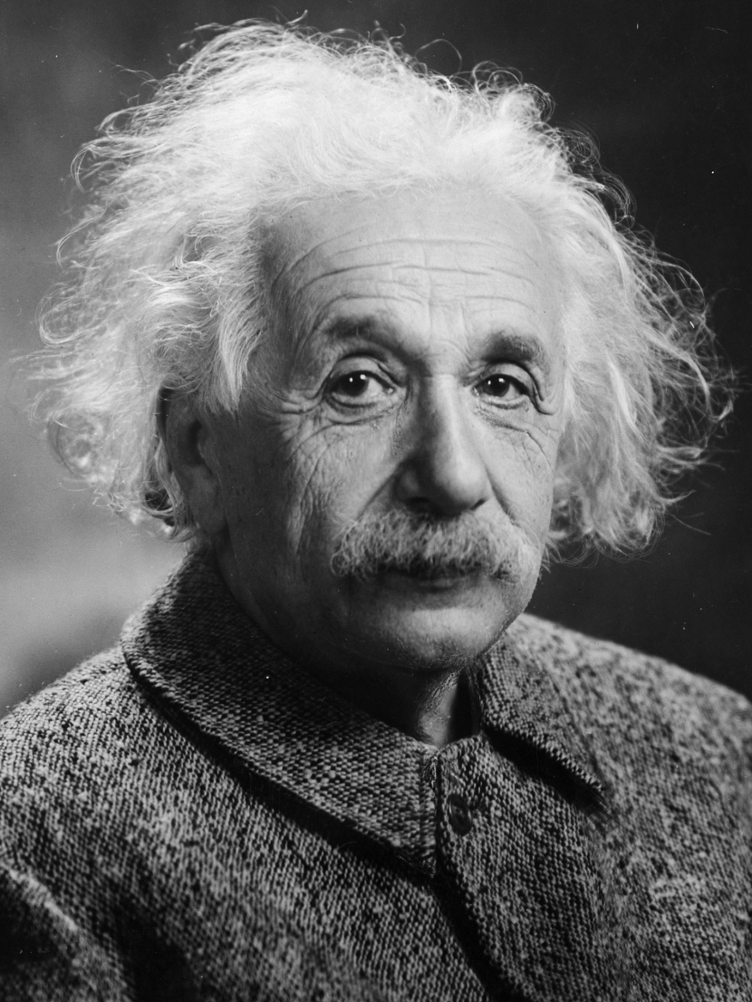 Albert Einstein (dok. Wikipedia)