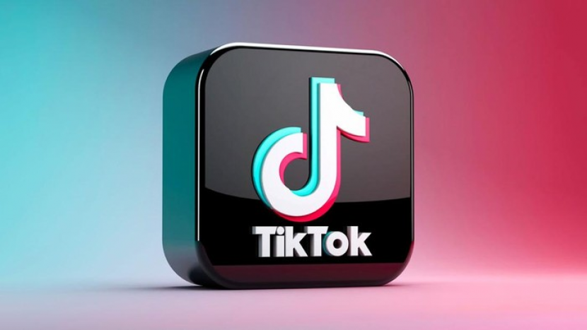 TikTok. Dengan memakai SssTikTok, video yang didownload jernih tanpa watermark yang mengganggu. Foto: IST