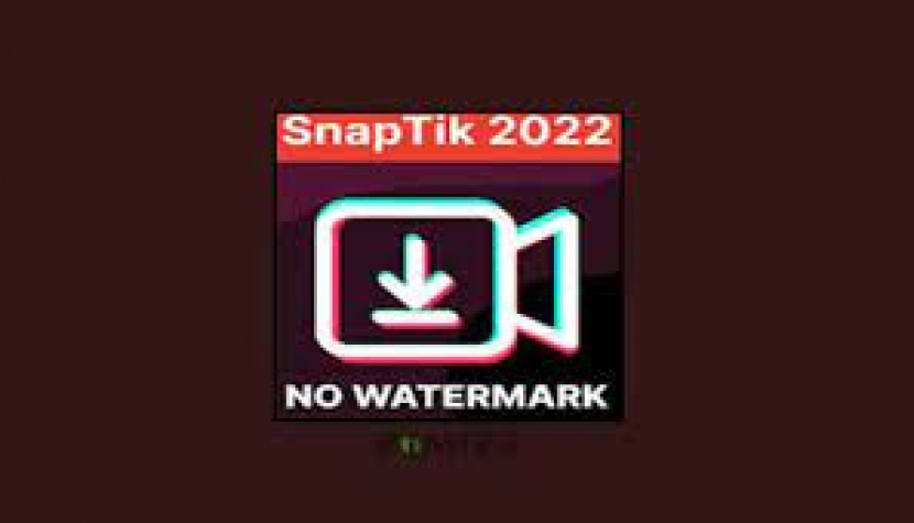 Snaptik app: Situs Favorit Download 2022 Video TikTok Bebas No Watermark