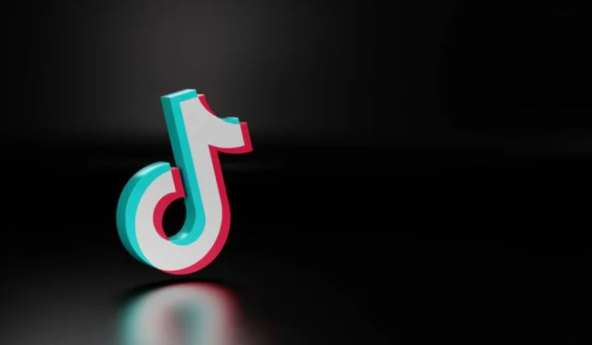 cara download profil tiktok