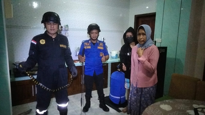 Petugas Damkar Kabupaten Kuningan berhasil menangkap ular weling di rumah warga. (Dok UPT Damkar Satpol PP Kabupaten Kuningan)