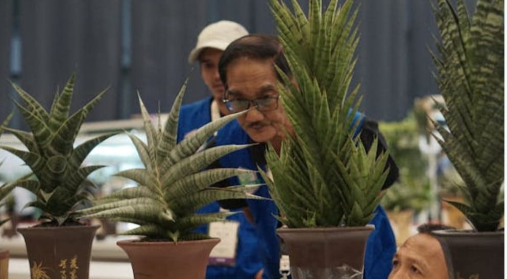 FLOII Expo 2024