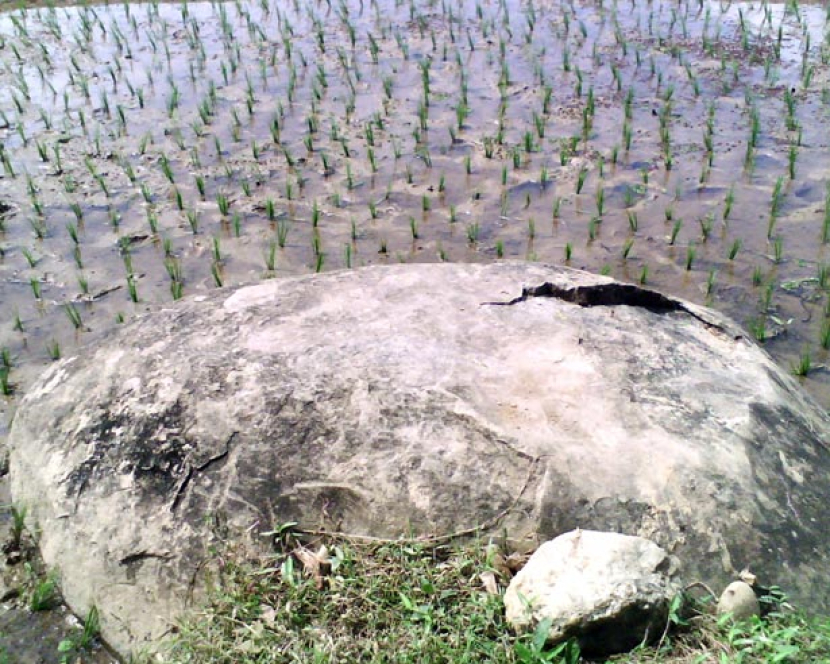 Situs punden Majapahit di tengah persawahan desa Loning, Sadang, Kebumen. (ilustrasi).