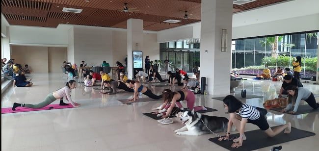 aurum apartemen