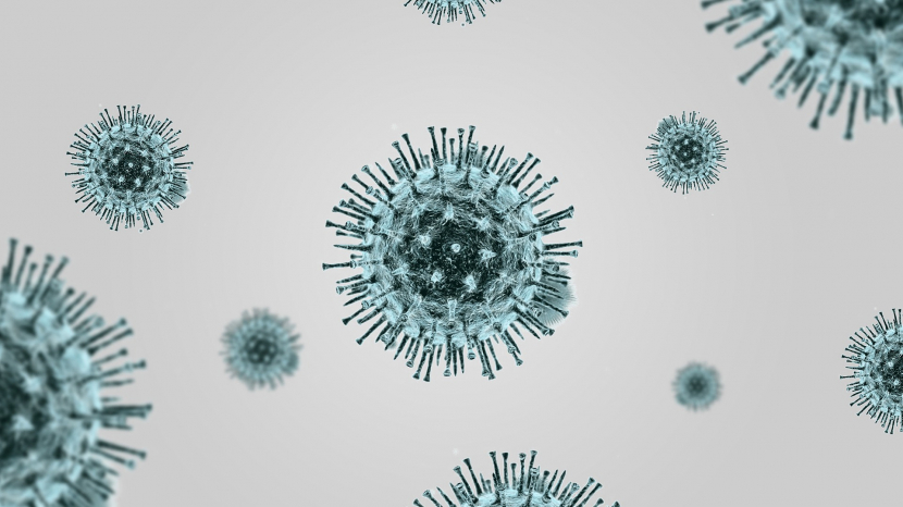 Ilustrasi Puisi : Pandemi Belum Berakhir. Foto : pixabay