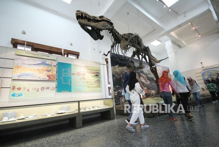 Fosil T-Rex koleksi Museum Geologi Bandung.