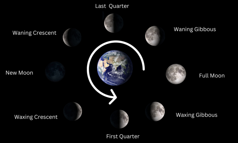 Delapan fase bulan (Penjelannya). Gambar: NASA