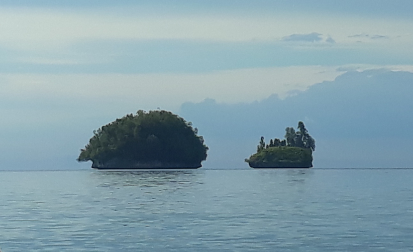 Dua pulau karang di Teluk Nusalasi - Van Den Bosch, Fakfak, dilihat dari kejauhan. Kelelawar tidur di pepohonan dua pulau karang itu pada siang hari.