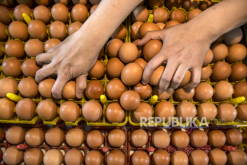 Telur mengandung banyak vitamin, protein, dan mineral. Cara pemilihan dan penanganannya harus benar. Ilustrasi. Foto : republika