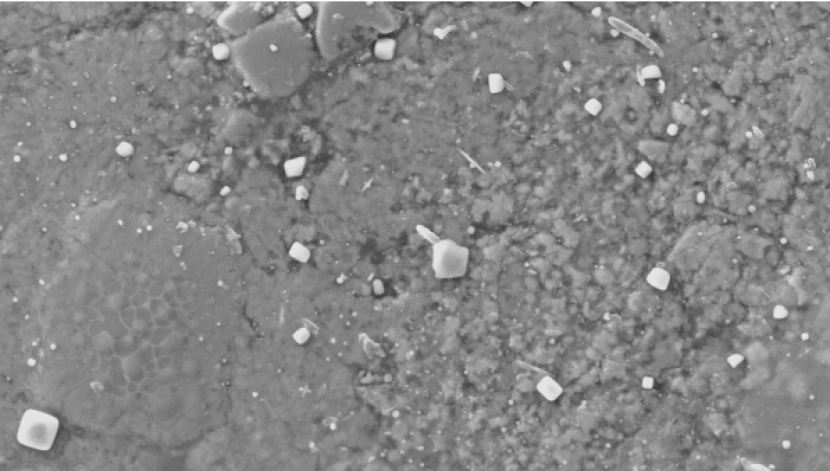 Kristal halit (garam dapur) ditemukan pada pecahan meteorit Winchcombe awal tata surya tak lama setelah jatuh ke Bumi. Gambar: Meteoritika & Ilmu Planet/ Jenkins et al.