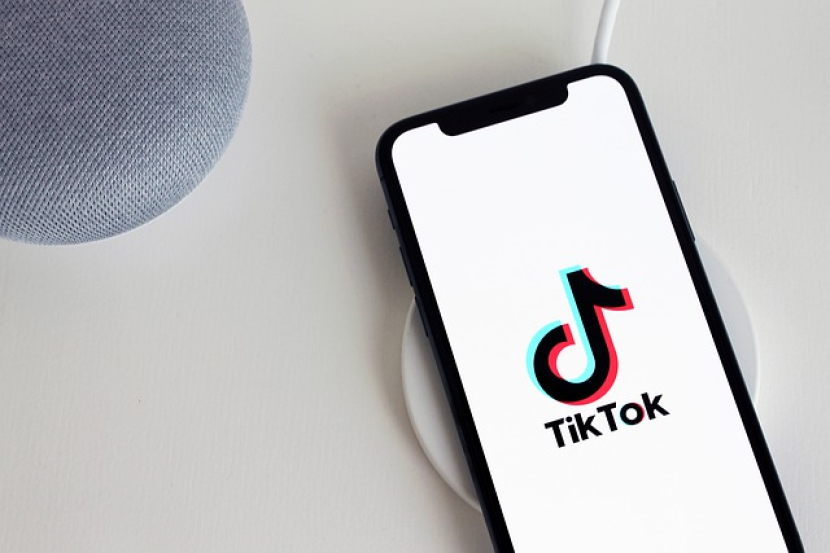 TikTok video downloader no watermark -- pixabay