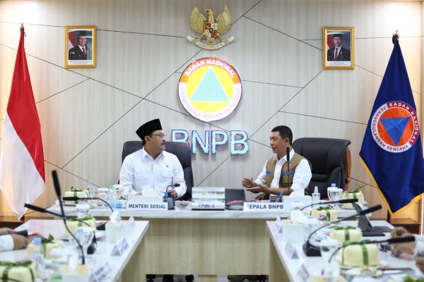 bnpbkems