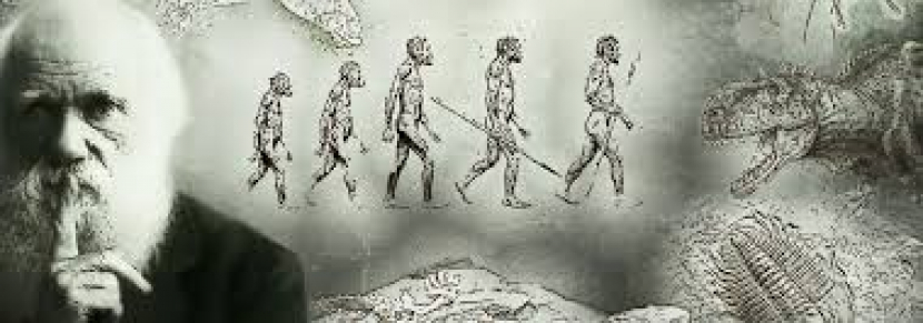 Charles Darwin dan ilsutrasi teori Evaluasi.