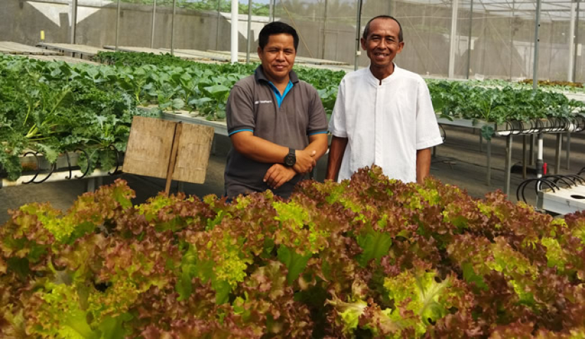 Tri Widodo, Manajer Operasinal IKI Farm usai menjelaskan tentang berbagai tanaman hidroponik yang ditanamnya