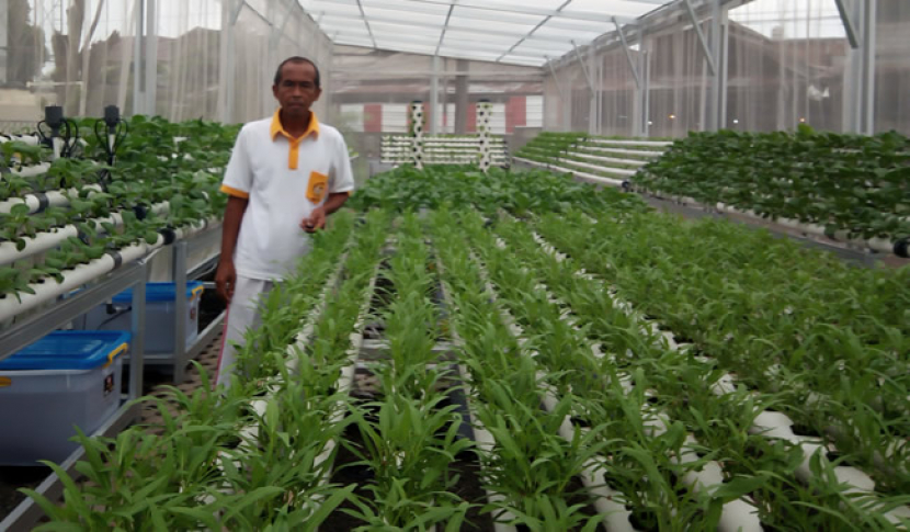 Green house hidroponik, nampak instalasi hidroponik dan sebagaian peralatan penunjang lainnya