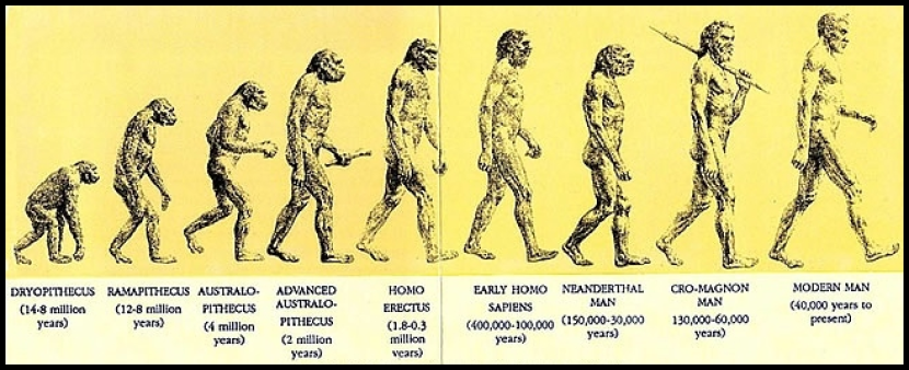 Teori evolusi manusia ala Charles Darwin.