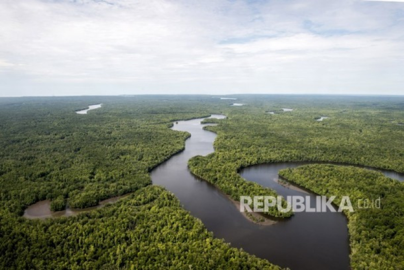 Foto udara sungai berkelok membelah hutan di Kabupaten Mimika, Papua. Foto: Antara/M Agung Rajasa