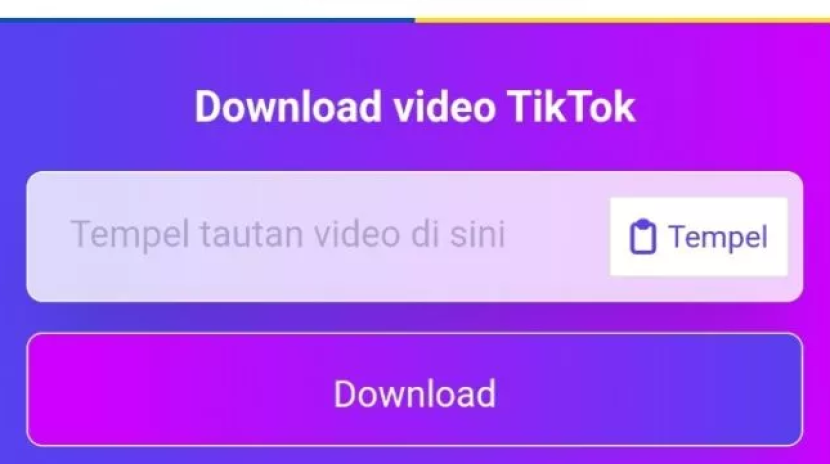 Aplikasi SSSTikTok. SSSTikTok adalah salah satu aplikasi berbasis web untuk mengunduh video TikTok. Foto: Tangkapan layar