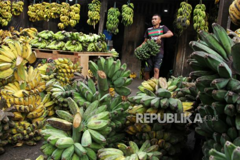 Pedagang pisang mengangkut buah pisang yang dijual di Pasar Terong, Makassar, Sulawesi Selatan, Rabu (6/4/2022). Foto: ANTARA/Arnas Padda