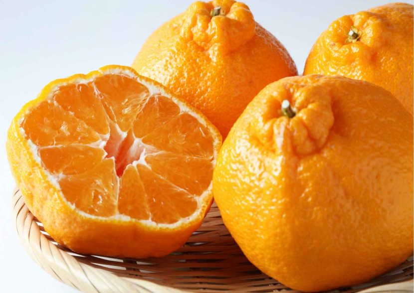 Dekopon, jeruk mandarin untuk Hari Raya Imlek 2022/ Foto: Canva