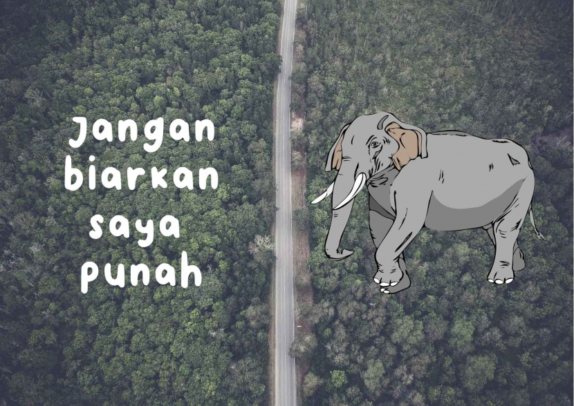 Gajah sumatra berstatus kritis