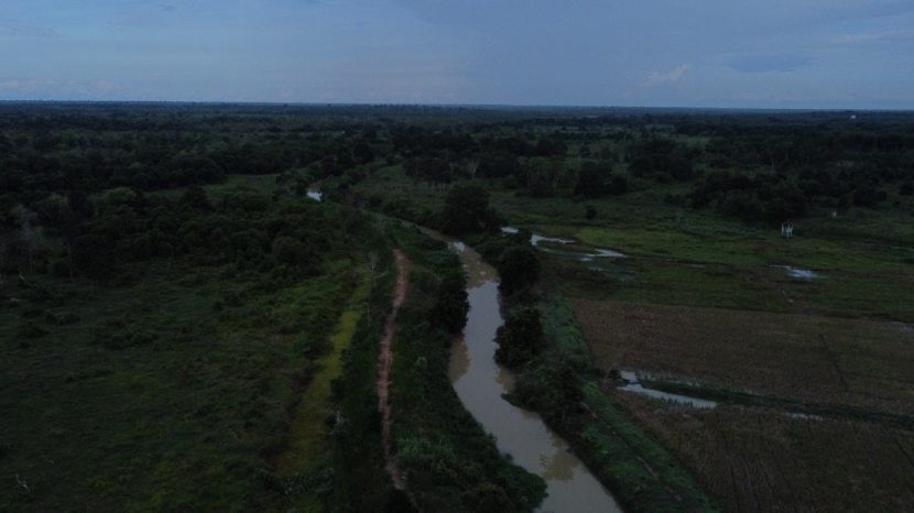 Ilustrasi, kawasan taman nasional (kiri) dan ladang masyarakat (kanan) hanya dibatasi tanggul sehingga kawanan gajah dapat menyeberang. (foto TFCA-Sumatera)