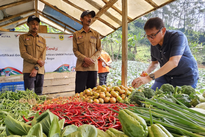 Petani binaan Astra melalui Yayasan Dharma Bhakti Astra (YDBA) dan Pusat Investasi Pemerintah (PIP) di Sukawangi Bogor menunjukkan produk hortikultura hasil budidaya organik kepada Ketua Pengurus YDBA Rahmat Samulo (kanan), 