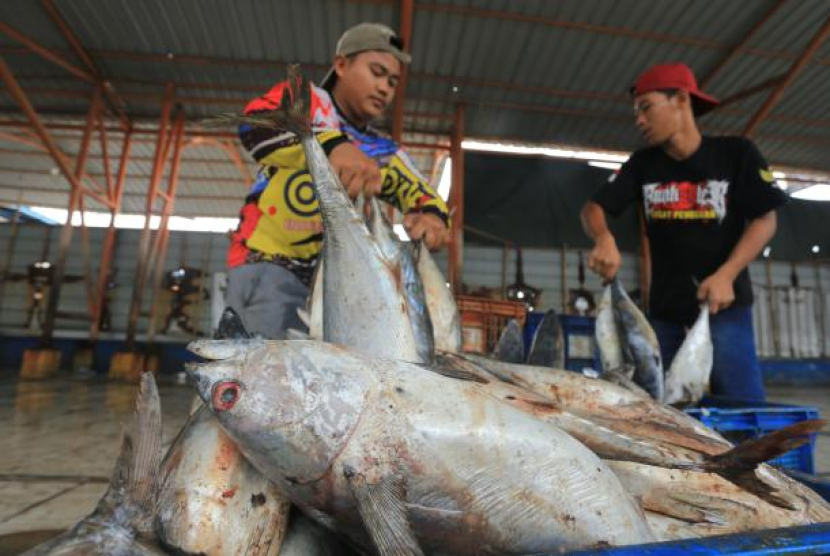 Nelayan mengumpulkan ikan untuk dilelang di TPI Karangsong, Indramayu. (Foto: Antara)