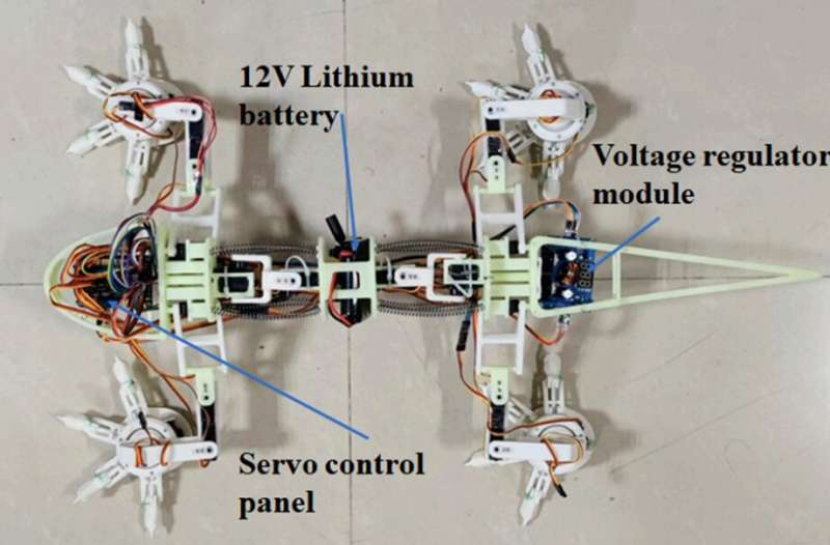 Prototipe robot berkaki empat yang terinspirasi dari kadal gurun. Gambar: Chen dkk (MDPI, 2023).