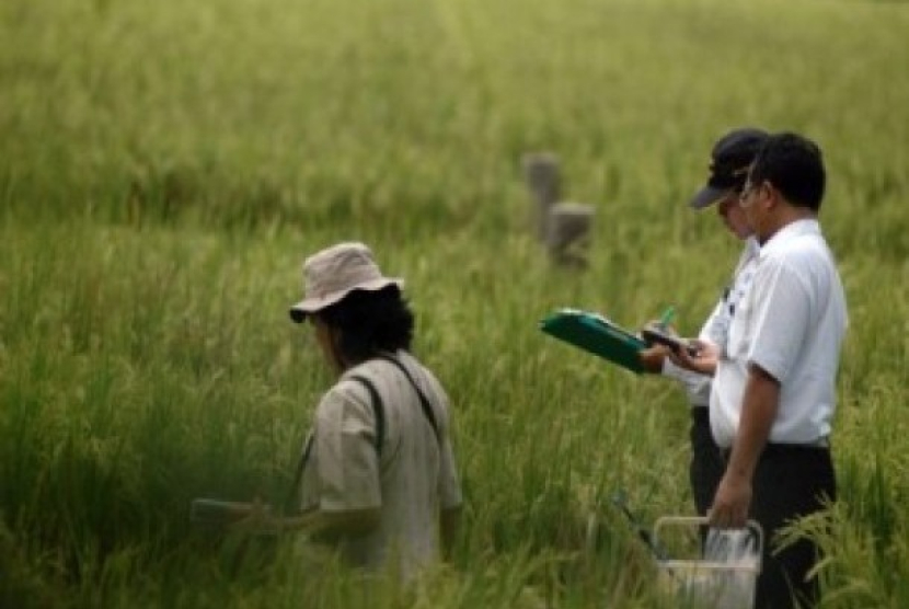 Petugas dari Badan Pengawas Tenaga Nuklir (Bapetan) dan Badan Tenaga Nuklir Nasional (Batan) memeriksa lokasi crop circle di Berbah, Sleman. Foto: Antara