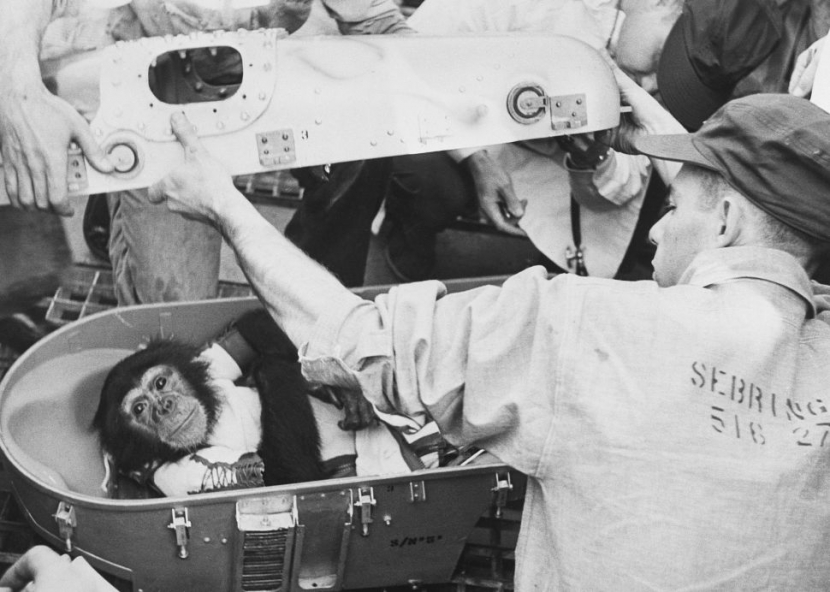 Personil membuka kapsul Ham setelah kembali ke Bumi pada 1 Februari 1961. Gambar: Bettmann/Kontributor/Getty Images Space.com