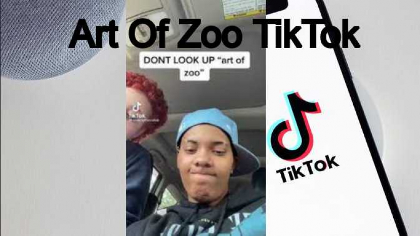 Art of the zoo tiktok