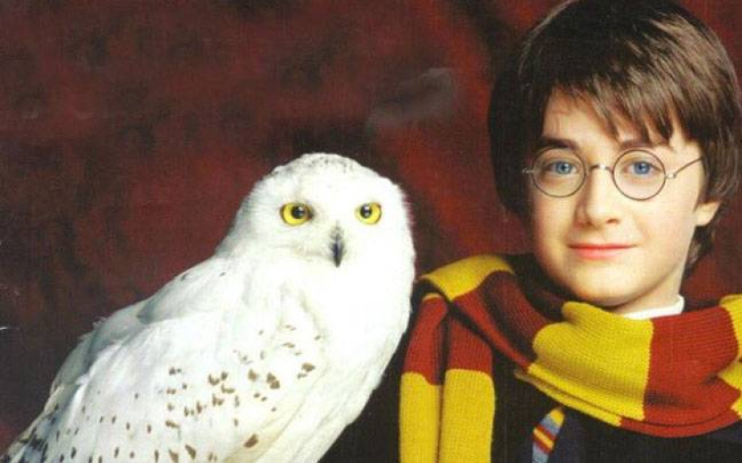 Burung hantu di film Harry Potter. (Dok. Warner Bros).