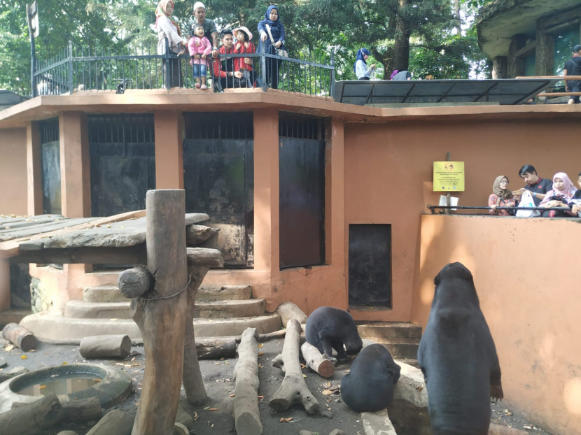 Salah satu kandang di Bandung Zoo.