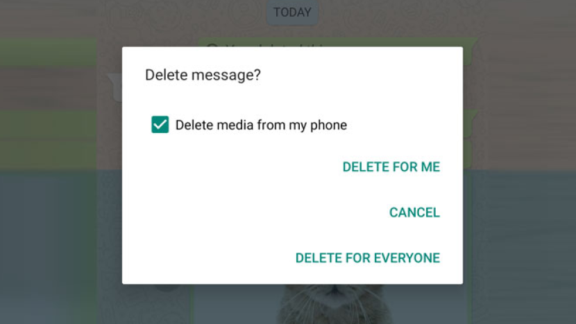 Fitur delete pesan Whatsapp. Whatsapp memperpanjang waktu untuk menghapus pesan. Foto: idNSA