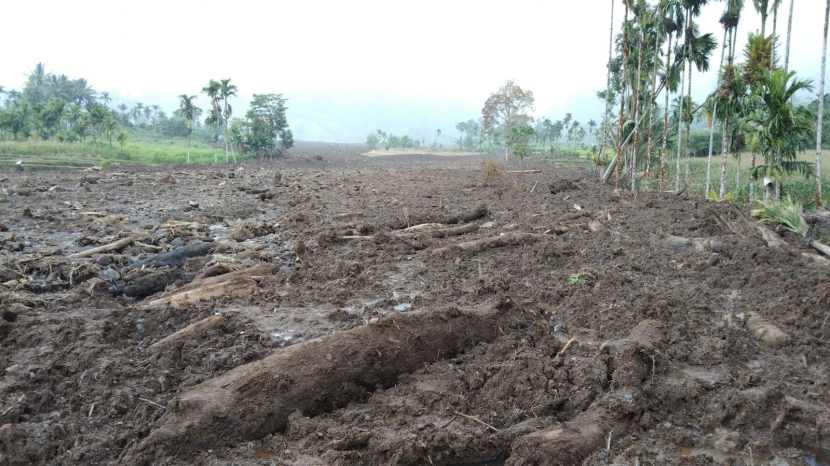 Ladang warga yang hancur akibat galodo (banjir bandang) yang dipicu gempa bumi di Pasaman, Sumbar. Foto : Dok.Unand