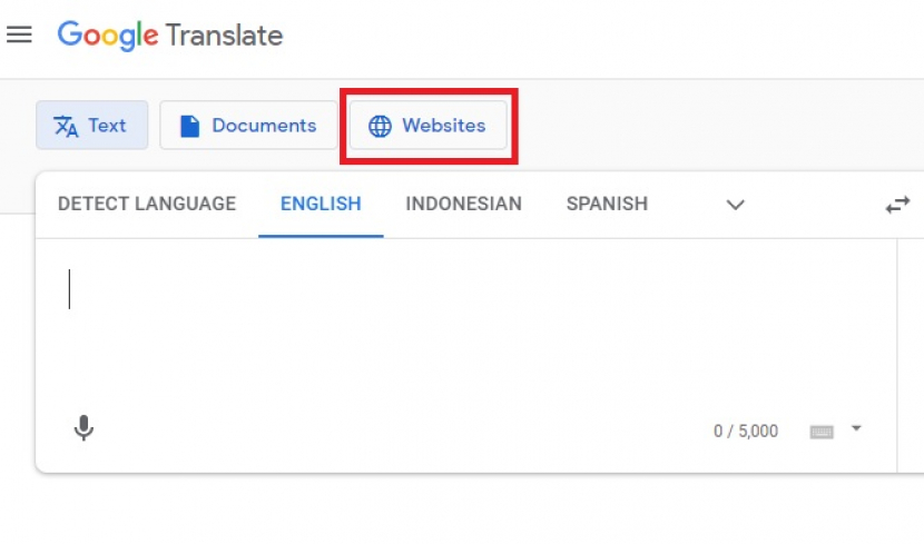 Google Translate. Menerjemahkan website berbahasa Inggris. Foto: Tangkapan layar