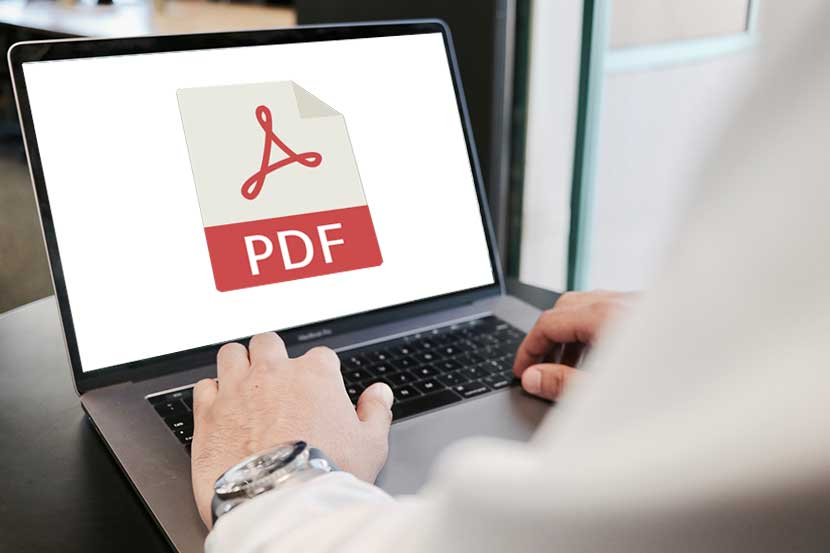 PDF di laptop. 