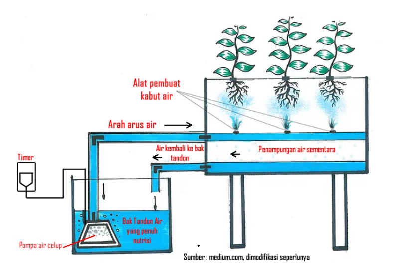 Sistem aeroponik mengandalkan kabut air yang penuh nutrisi untuk mensuplai makanan ke akar tanaman