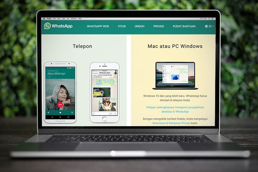 Whatsapp di laptop HP dan laptop. 