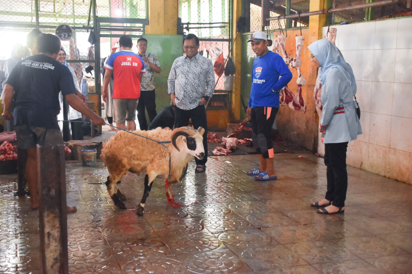 Herman Khaeron dan Ratnawati menyaksikan penyembelihan hewan kurban di Jatibarang, Kabupaten Indramayu, Senin (17/6/2024). (Istimewa)