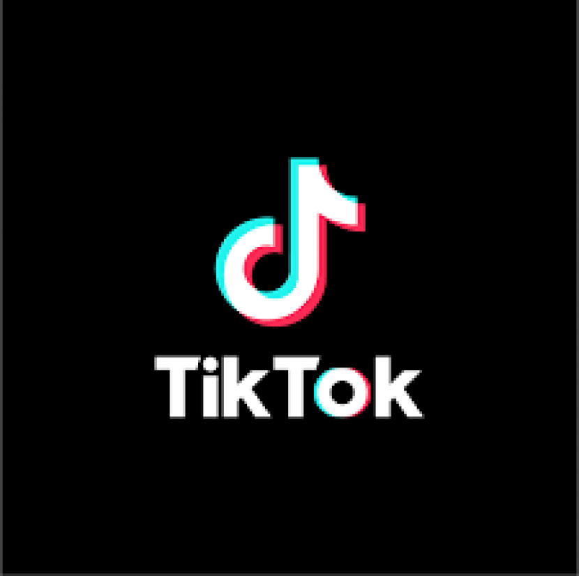  SnapTik bisa untuk download video dari TikTok.