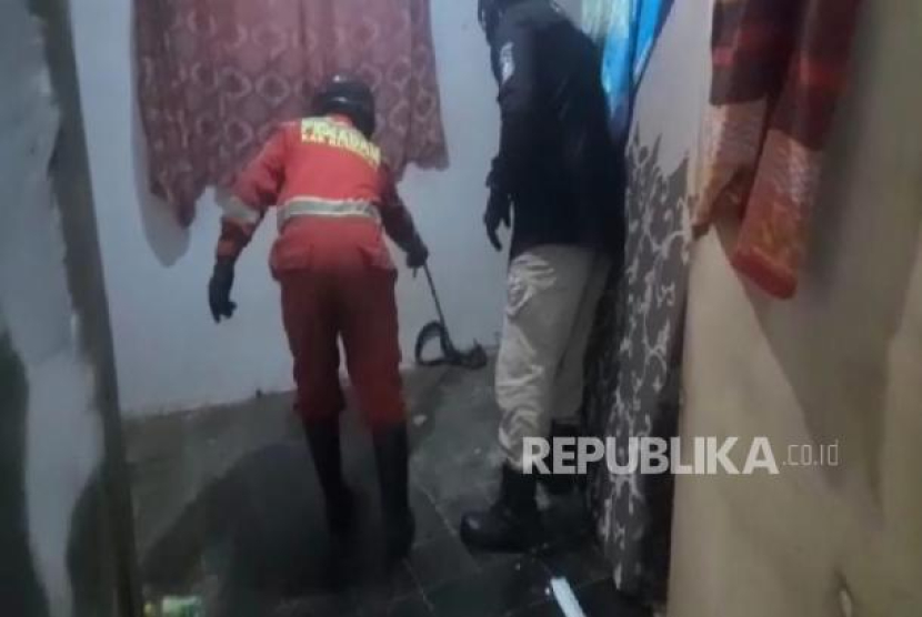 Petugas pemadam kebakaran Kabupaten Kuningan berhasil mengevakuasi seekor ular  yang masuk ke rumah warga. - (Dok Republika)