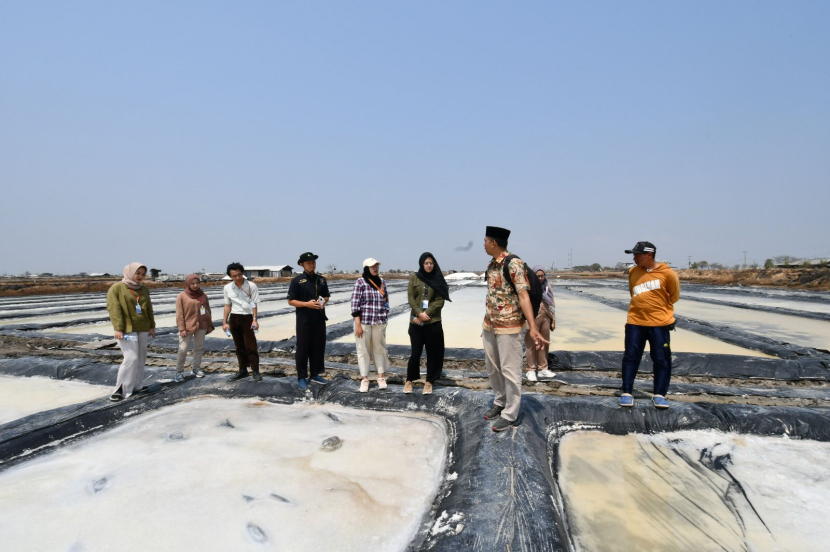 Pemerintah melalui program CSR PT Kilang Pertamina Internasional (KPI) RU VI Balongan memberikan bantuan dana untuk pengembangan tambak garam. (dok. Matapatura.Co.Id)