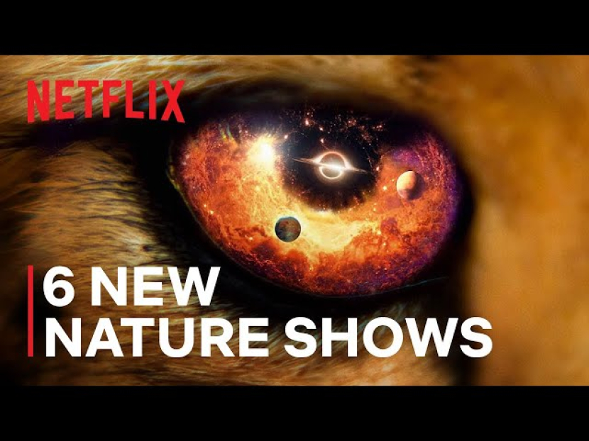 Teaser Our Universe. Sumber: Netflix. 